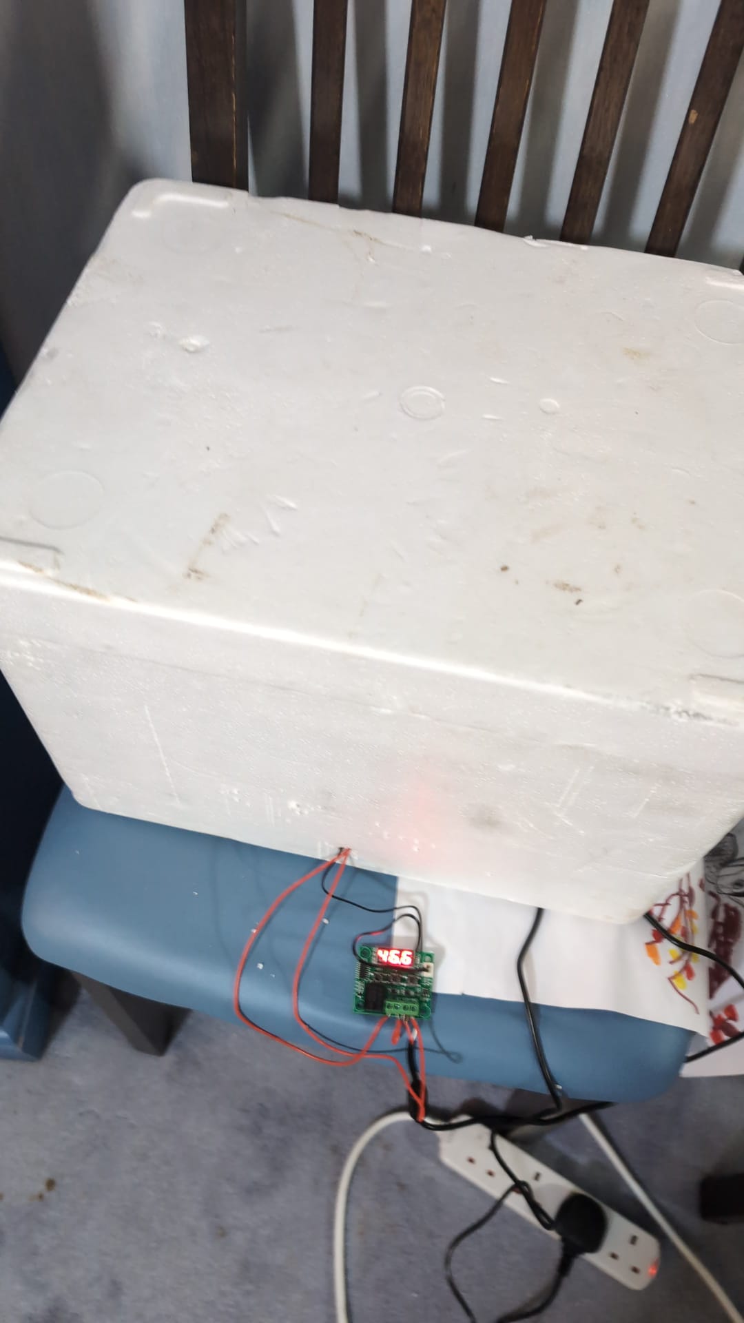 The closed polystyrene box with the W1209 thermostat outside it, reading 46.6